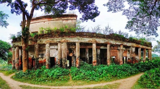 image-here